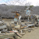 Image for article titled The Gruesome History of the Galapagos Islands' Nietzsche-Fueled Homesteader Death Showdown